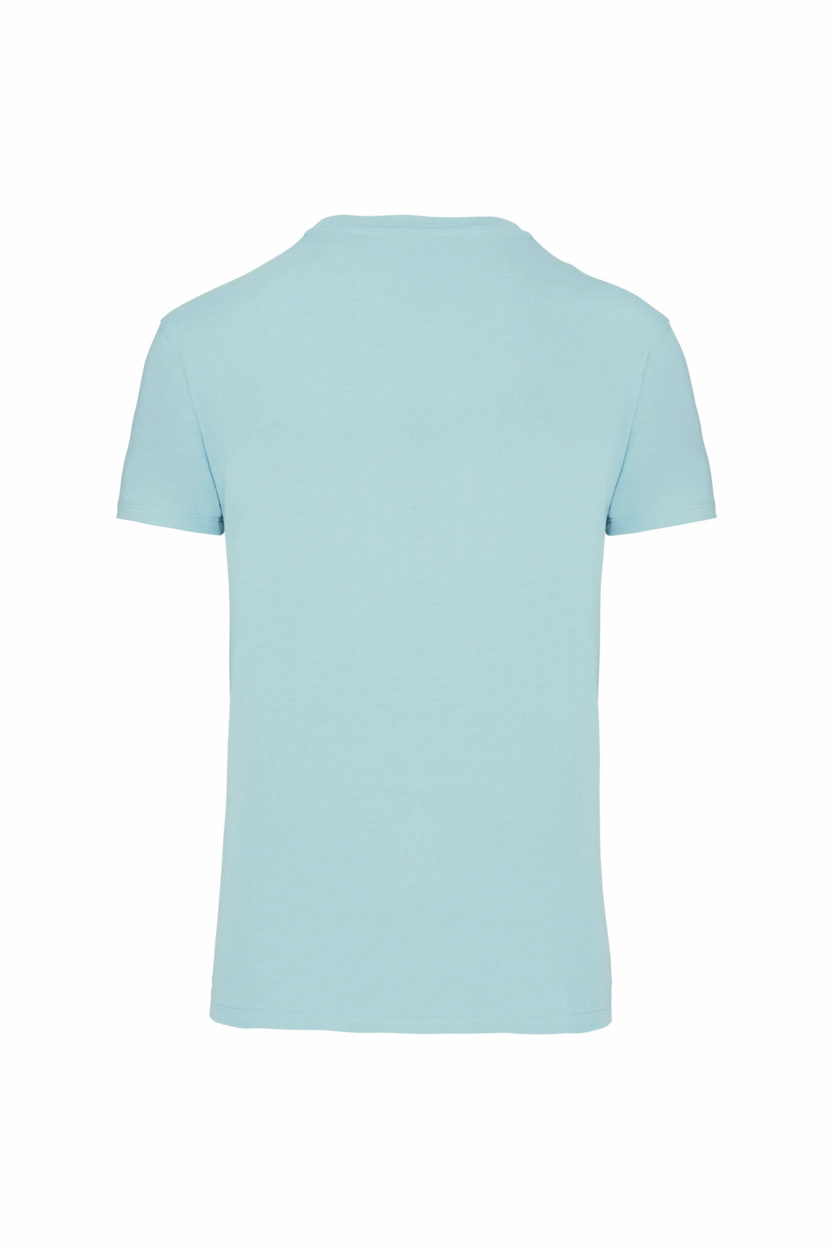 t-shirt bio 150IC col rond homme ice mint dos