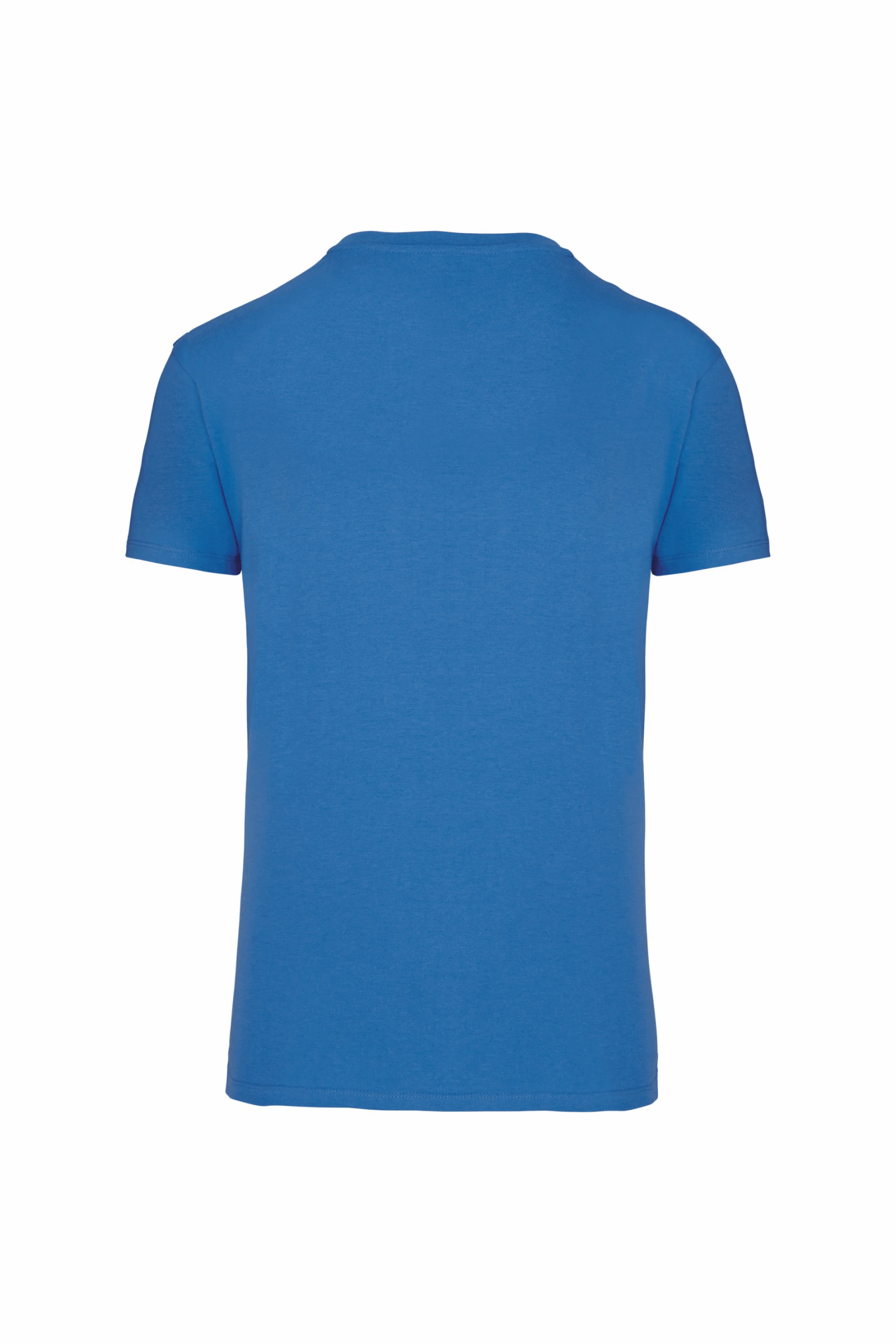 t-shirt bio 150IC col rond homme light royal blue dos