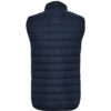 Gilet homme oslo marine dos