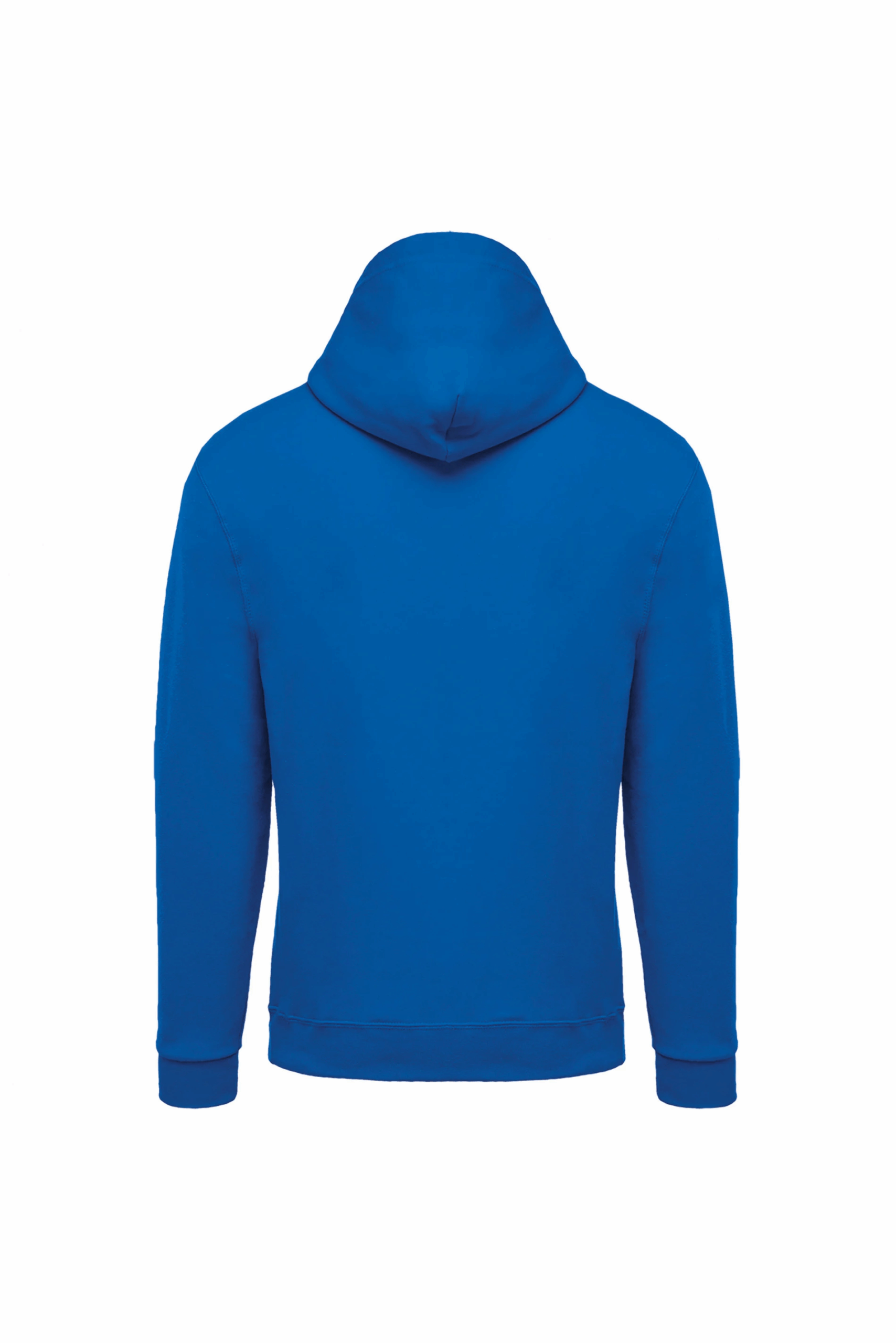 Sweat shirt zippé capuche unisexe light royal blue dos