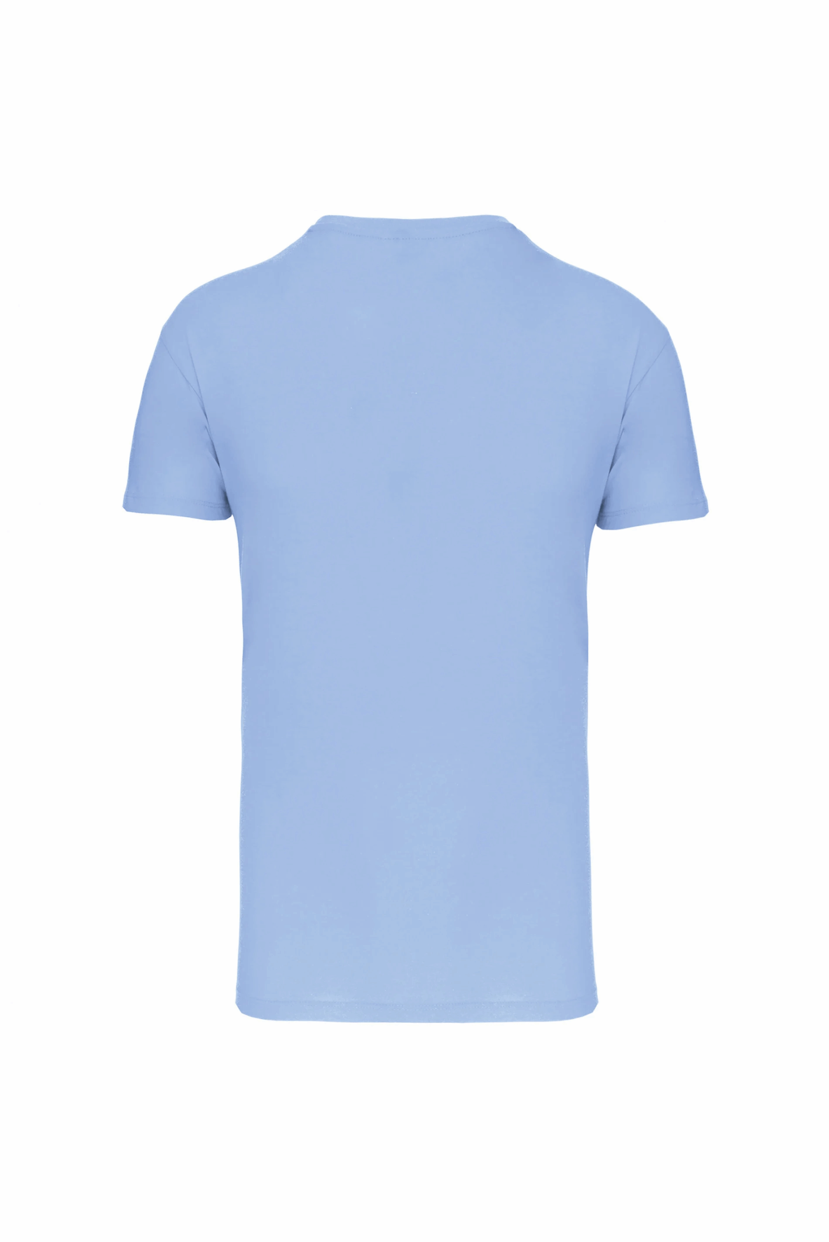 t-shirt bio 150IC col rond homme sky blue dos