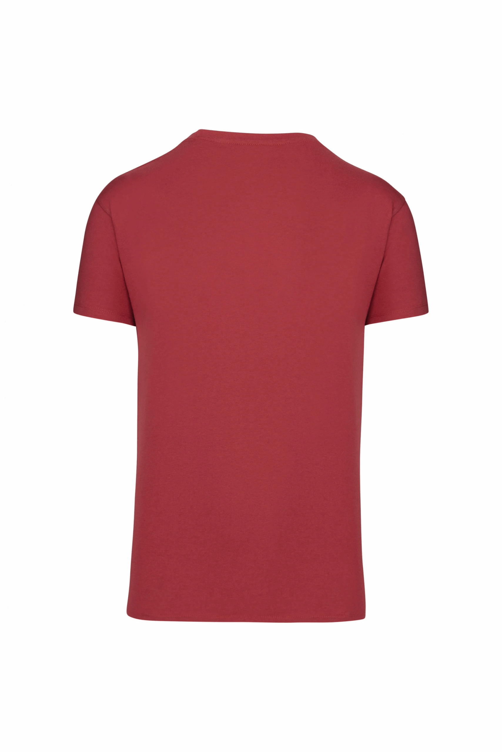 t-shirt bio 150IC col rond homme terracotta red dos